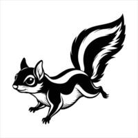Particolored flying squirrel vector
