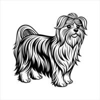Charming Maltese Puppy Resting vector