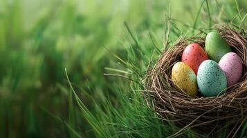 Colorful eggs nestled in a grass nest during a spring morning photo