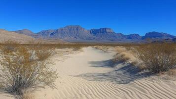 Vast desert landscape with a solitary tree and distant mountains under a blue sky photo