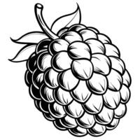 black and white drawing of a raspberry vector