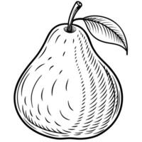 a pear is drawn in a hand drawn style vector