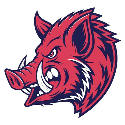 the head of an angry red boar