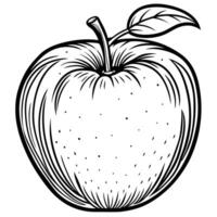 an apple is drawn in a black and white style vector