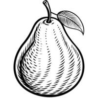 a pear is drawn in a black and white style vector