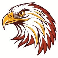 an eagle head with a red and white feather vector