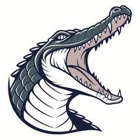 an alligator head with its mouth open vector