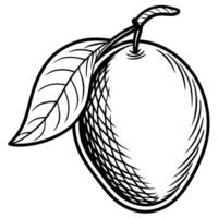 a black and white drawing of a mango with leaves vector