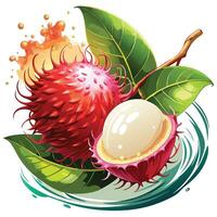 a rambutan fruit with a leaf and a splash of water vector