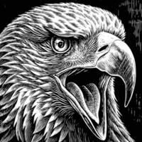 an eagle head in a black and white drawing vector