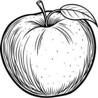 an apple is drawn in black and white on a white background vector