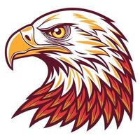 an eagle head with a red and yellow feather vector