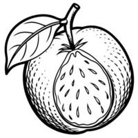 an apple with a leaf on it is shown in this drawing vector