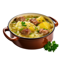 Appetizing Cabbage Soup Isolated On Transparent Background png