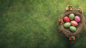 Colorful eggs nestled in a grass nest during a spring morning photo