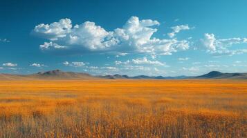 Coastal landscape with golden grass swaying in the breeze under a clear blue sky photo