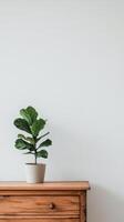 Stylish wooden sideboard with potted plant and decorative vase in modern interior design photo
