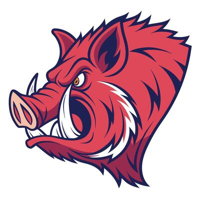 the head of a wild boar is shown in a cartoon style