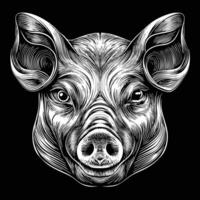the head of a pig is shown on a black background vector