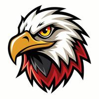 an eagle head with red and white feathers vector