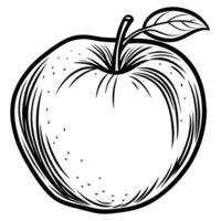 an apple is drawn in a black and white style vector