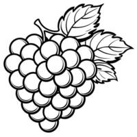 grapes coloring pages vector