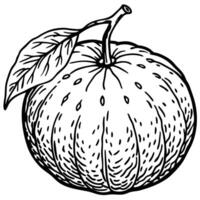 an apple with leaves and a leaf on it vector