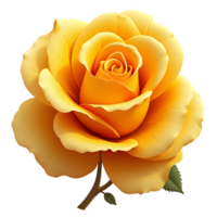 Single yellow rose with a bud transparent background , png