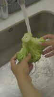 It is essential to wash fresh broccoli thoroughly using running water for optimal cleanliness video