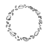 Monochrome flying almonds wreath in black and white color. Peeled and unshelled nuts illustration with empty space for text. Healthy food ingredient etching drawing for package design, menu vector