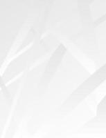 White color abstract line background. Wallpaper design vector