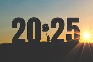 Happy girl holding balloons and standing in a field with numbers New Year 2025 at sunset. New Year and dreams 2025 photo