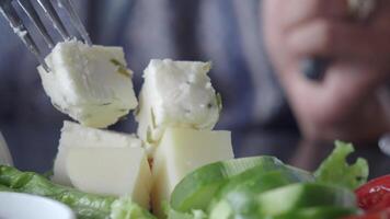 Delicious Soft Cheese Blocks Arranged on a Plate with Fresh Garnish video
