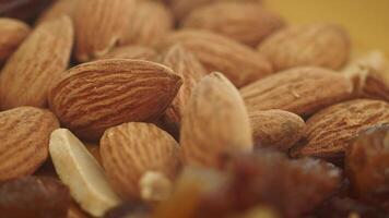 Close up of almond nut isolated on white video