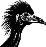 Black silhouette of cassowary head vector