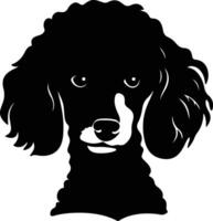 graceful Black silhouette of poodle head vector