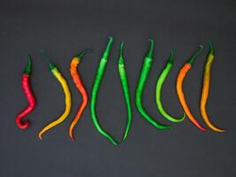 Chili peppers isolated on dark background photo