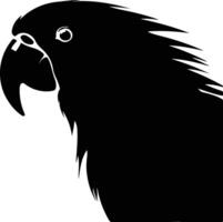charming Black silhouette of lorikeet head vector