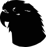 precious Black silhouette of lorikeet head vector