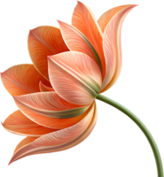 Bright Tulip flower clipart for digital design applications. . png