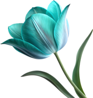 Beautiful Tulip flower icon for digital branding projects. . png
