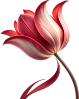 Gorgeous Tulip flower clipart for web and print. . png