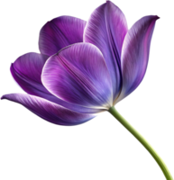 Bright Tulip flower icon for digital design needs. . png