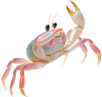 Adorable cartoon crab clipart showcasing charm and playful vibes. . png