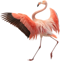 Cheerful flamingo bird clipart for vibrant tropical illustrations. . png