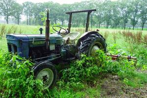 A tractor is parked in a field of weeds photo