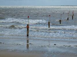 at the north sea photo