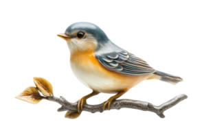 Colorful bird perched on a branch surrounded by leaves in a natural setting during daylight png