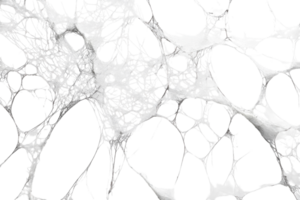 Abstract representation of cell structure with white and gray textures showcasing intricate patterns png