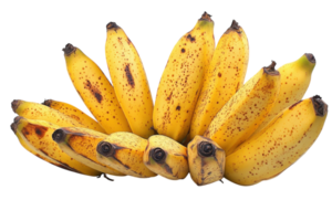 Fresh, ripe bananas arranged neatly on a white background highlighting their yellow color and speckled texture png